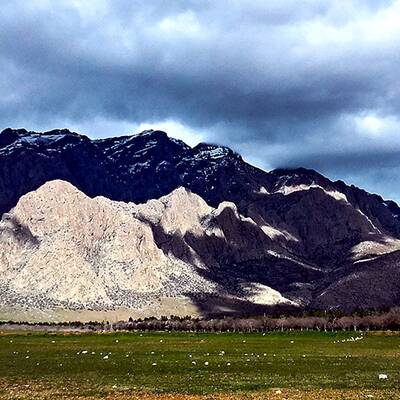 بهشت بکری به نام چالابه